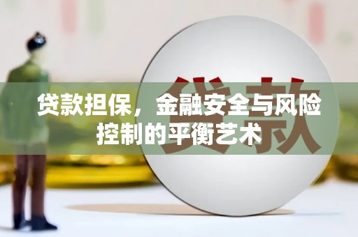 沙湾贷款担保，金融安全与风险控制的平衡艺术