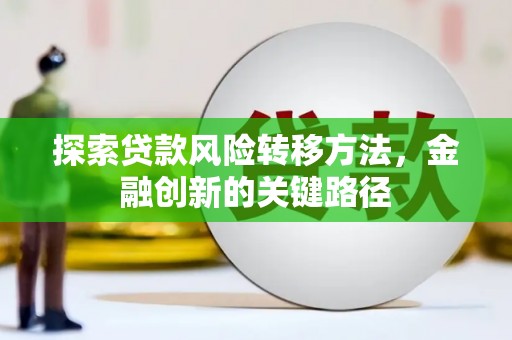 沙湾探索贷款风险转移方法，金融创新的关键路径