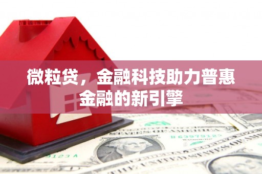沙湾微粒贷，金融科技助力普惠金融的新引擎