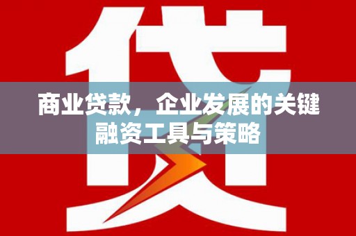 沙湾商业贷款，企业发展的关键融资工具与策略