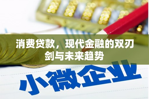 沙湾消费贷款，现代金融的双刃剑与未来趋势