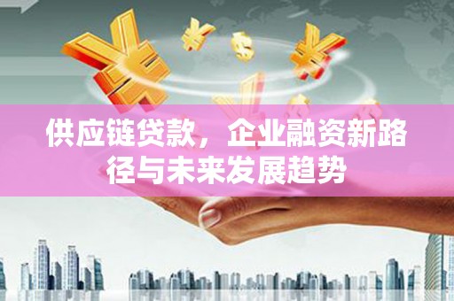 沙湾供应链贷款，企业融资新路径与未来发展趋势