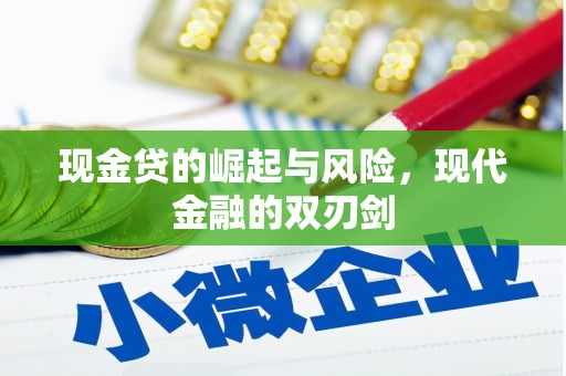 沙湾现金贷的崛起与风险，现代金融的双刃剑