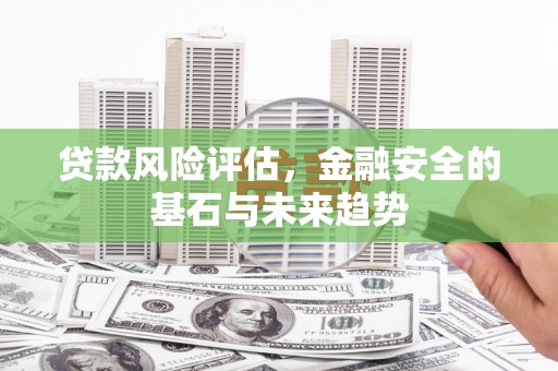 沙湾贷款风险评估，金融安全的基石与未来趋势