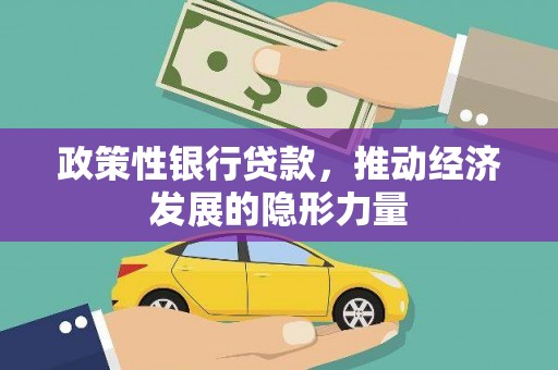 沙湾政策性银行贷款，推动经济发展的隐形力量