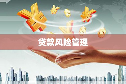 沙湾贷款风险管理
