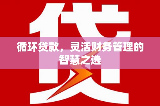 沙湾循环贷款，灵活财务管理的智慧之选