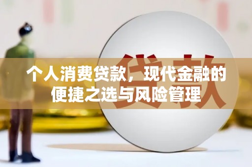 沙湾个人消费贷款，现代金融的便捷之选与风险管理
