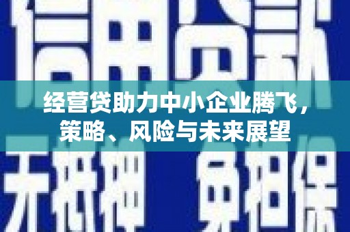 沙湾经营贷助力中小企业腾飞，策略、风险与未来展望