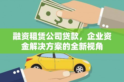 沙湾融资租赁公司贷款，企业资金解决方案的全新视角