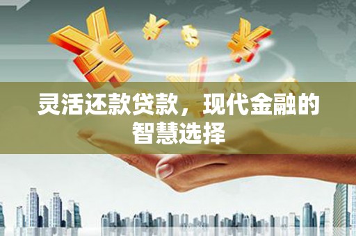 沙湾灵活还款贷款，现代金融的智慧选择