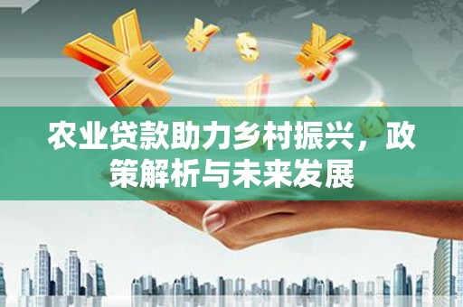沙湾农业贷款助力乡村振兴，政策解析与未来发展