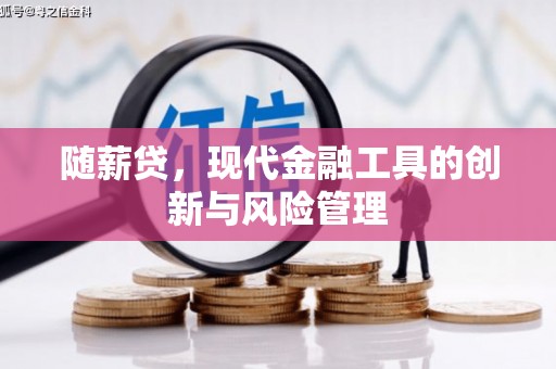 沙湾随薪贷，现代金融工具的创新与风险管理