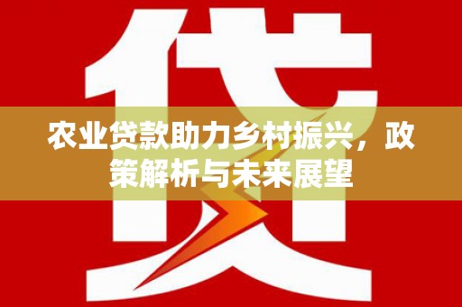 沙湾农业贷款助力乡村振兴，政策解析与未来展望