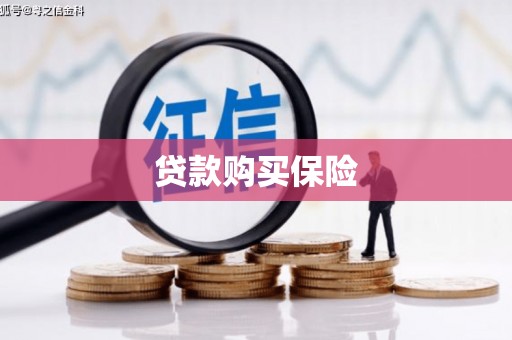 沙湾贷款购买保险