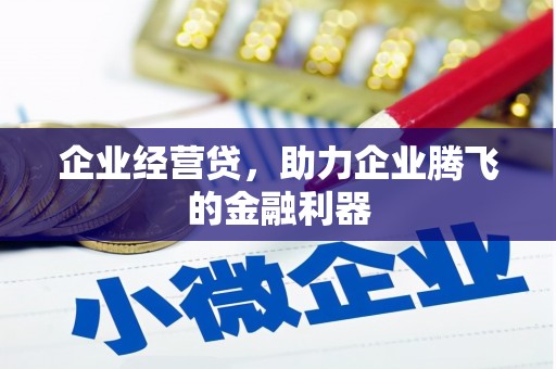 沙湾企业经营贷，助力企业腾飞的金融利器