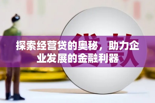 沙湾探索经营贷的奥秘，助力企业发展的金融利器