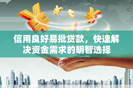 沙湾信用良好易批贷款，快速解决资金需求的明智选择