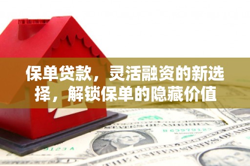 沙湾保单贷款，灵活融资的新选择，解锁保单的隐藏价值