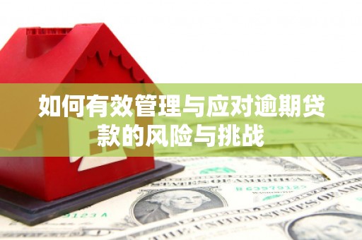 沙湾如何有效管理与应对逾期贷款的风险与挑战