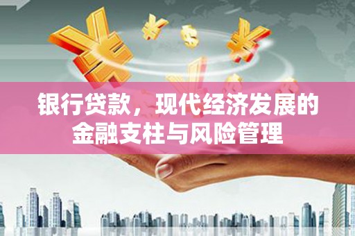 沙湾银行贷款，现代经济发展的金融支柱与风险管理