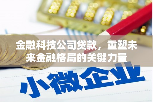沙湾金融科技公司贷款，重塑未来金融格局的关键力量