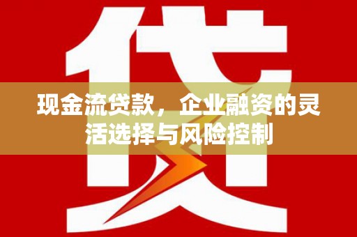 沙湾现金流贷款，企业融资的灵活选择与风险控制