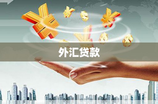 沙湾外汇贷款