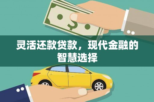 沙湾灵活还款贷款，现代金融的智慧选择