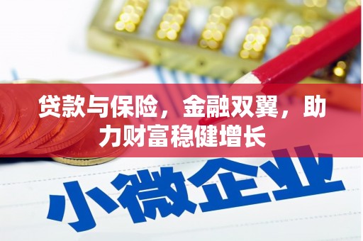 沙湾贷款与保险，金融双翼，助力财富稳健增长