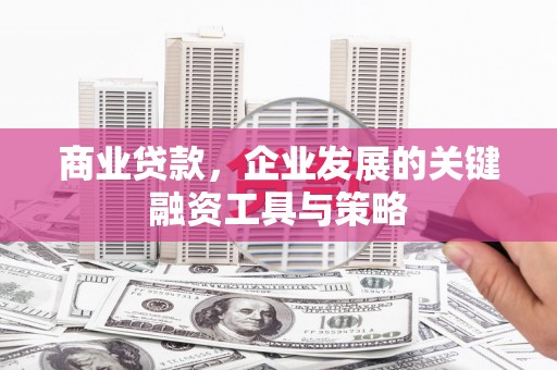 沙湾商业贷款，企业发展的关键融资工具与策略