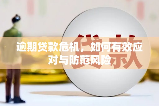 沙湾逾期贷款危机，如何有效应对与防范风险