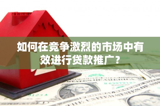 沙湾如何在竞争激烈的市场中有效进行贷款推广？