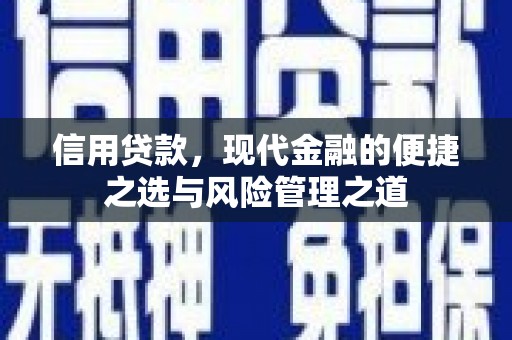 沙湾信用贷款，现代金融的便捷之选与风险管理之道