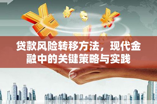 沙湾贷款风险转移方法，现代金融中的关键策略与实践