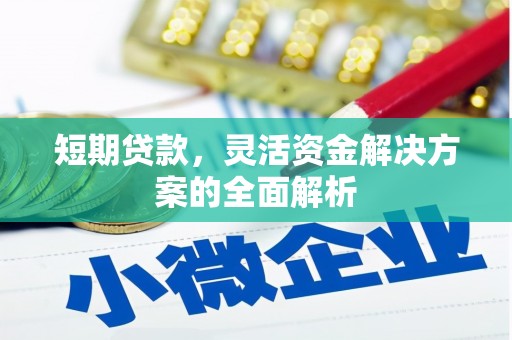 沙湾短期贷款，灵活资金解决方案的全面解析
