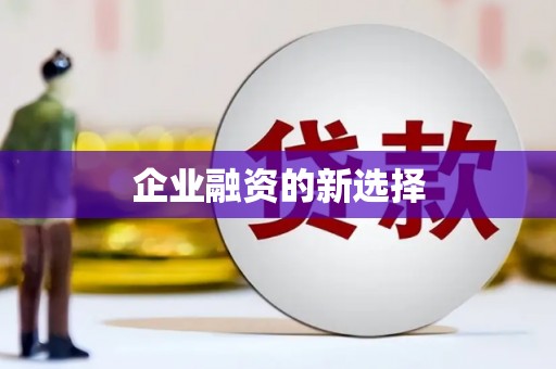 沙湾企业融资的新选择