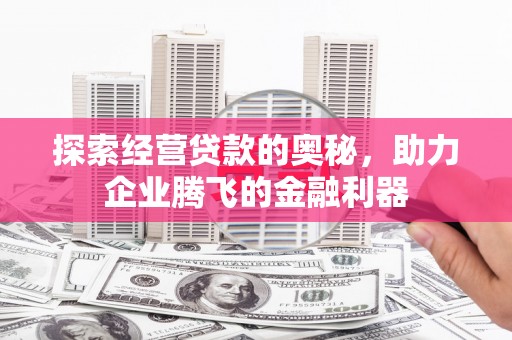 沙湾探索经营贷款的奥秘，助力企业腾飞的金融利器