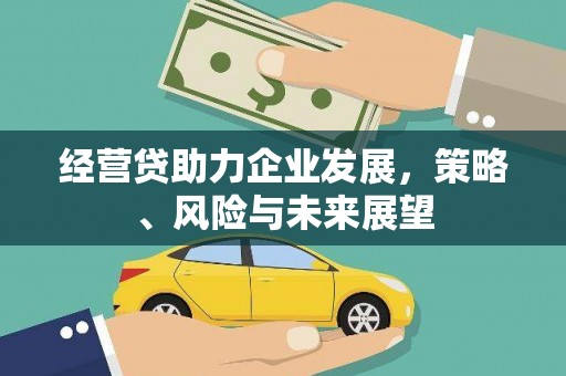 沙湾经营贷助力企业发展，策略、风险与未来展望