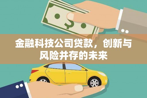 沙湾金融科技公司贷款，创新与风险并存的未来