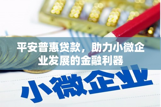 沙湾平安普惠贷款，助力小微企业发展的金融利器