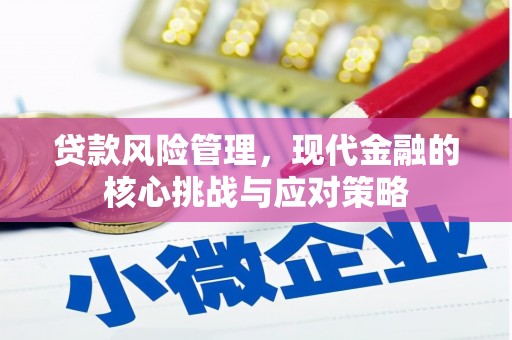 沙湾贷款风险管理，现代金融的核心挑战与应对策略