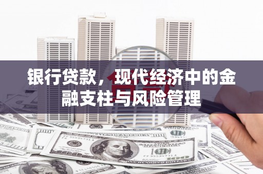 沙湾银行贷款，现代经济中的金融支柱与风险管理