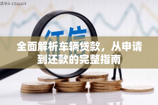 沙湾全面解析车辆贷款，从申请到还款的完整指南