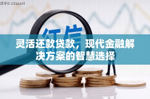沙湾灵活还款贷款，现代金融解决方案的智慧选择