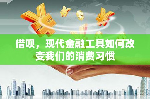 沙湾借呗，现代金融工具如何改变我们的消费习惯