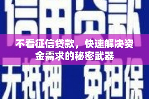 沙湾不看征信贷款，快速解决资金需求的秘密武器