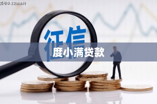沙湾度小满贷款
