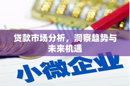 沙湾贷款市场分析，洞察趋势与未来机遇