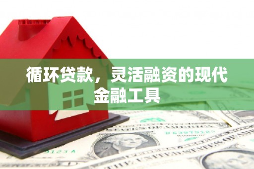 沙湾循环贷款，灵活融资的现代金融工具